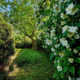 Fonyódligeti Napocskás Ház Fonyód