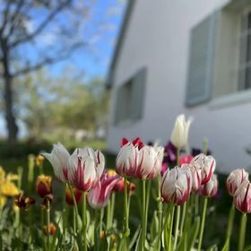 Diótörő Vendégház Balatonszabadi
