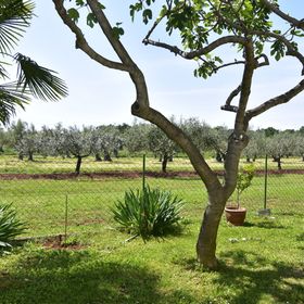 Apartman Astor Križine