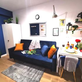 2-4 Stylowe malutkie mieszkanko z łazienką i aneksem Warszawa