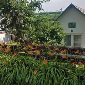 Élet Virága Vendégház Bálványos