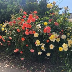 Ádám és Anett Vendégház Mezőkövesd