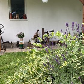 Kert Vendégház Érsekvadkert