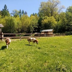 Gospodarstwo Agroturystyczne Na Górce Myczkowce