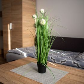Apartamenty Noclegi u Moniki Janowiec Wielkopolski