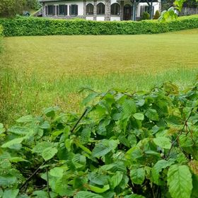 Szalajka Ház Váraszó