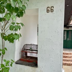 Nyaraló Emberi Szuhogy