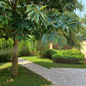 Bodza Lak Hajdúszoboszló