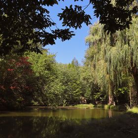 Királykunyhó Erdősziget Privát tóval Visegrád