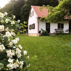 Tücsök Vendégház Óbánya