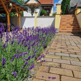 Kishegyi Vendégház Zalaegerszeg