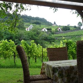 Juhfarkliget Vendégház Somlóhegy