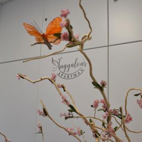 Angyalvár Apartman Miskolctapolca