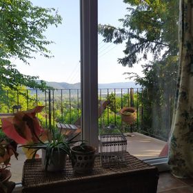 Kosbor Kuckó Kismaros