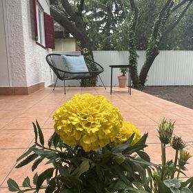 Bánhiday M4 Weekendhouse Balatonakarattya