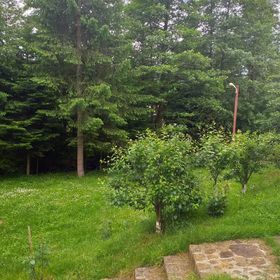 Vila Din Poiana Soveja