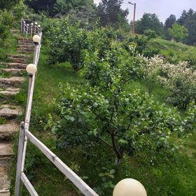 Vila Din Poiana Soveja