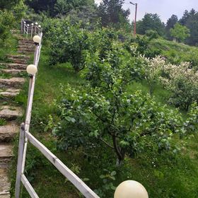 Vila Din Poiana Soveja