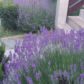 Mónika Vendégház Kőszeg