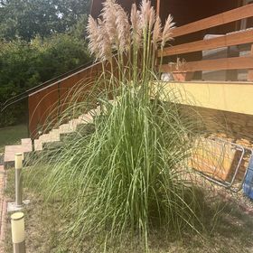 Eperke Vendégház Kismaros