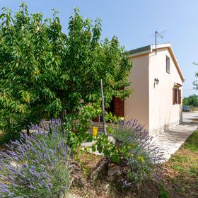 Vendégház Pridraga - CDI486