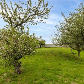 Apartmánový dům Vilémovice