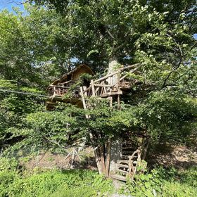 Casa pe copaci cu nouă roți Calonda