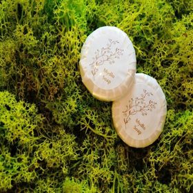 Skalna Chata Białka Tatrzańska