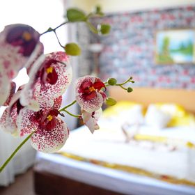 Jocó Panzió Nyíregyháza