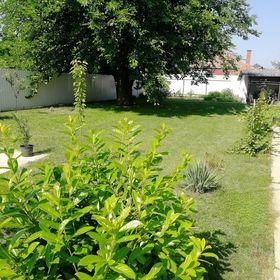 Zsuzsanna Vendégház Gyomaendrőd