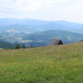 W deSki dom Krzyżowa