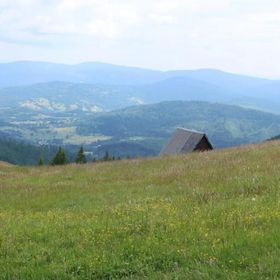 W deSki dom Krzyżowa