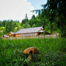 Cabana Dor de Apuseni Preluca