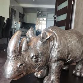 EGZOTYCZNE Meeru w Krainie Alicji