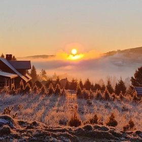 City Center Apartments Starling Hill Tylicz