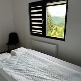 Cabana The One Beliș