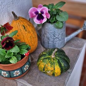 Zöld Kapu Vendégház Kőszegdoroszló