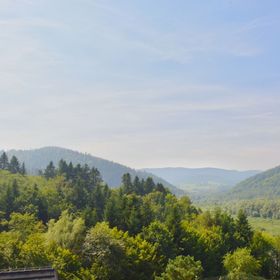 Apartamenty Wilcza Knieja Zawóz