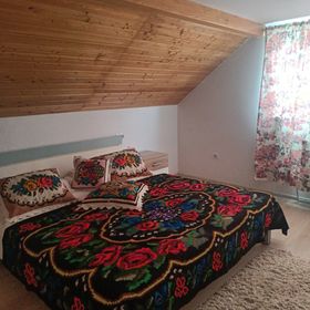 Casa Bizau Vișeu de Sus