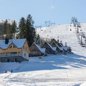 Ustrzyki Dolne Villa Gromadzyń