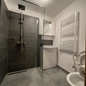 Casa Lupilor Transfăgărășan Arefu