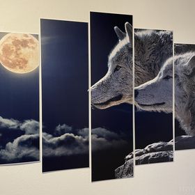 Casa Lupilor Transfăgărășan Arefu