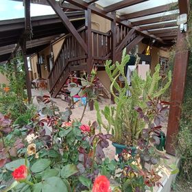 Holt-Tisza Vendégház Szeged