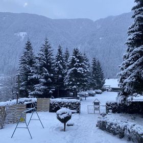 Molltaler Appartements Stall