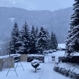 Molltaler Appartements Stall