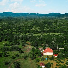Pensiunea Casa cu Elefanți Corbșori