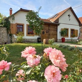 Tölgyfaodú Vendégház Bakonykúti