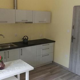 Apartament Nad Strumykiem 1 Duszniki