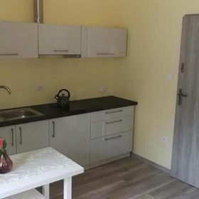Apartament Nad Strumykiem 1 Duszniki