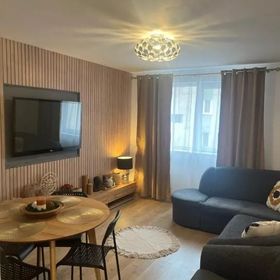 Apartament Roman Residence Borșa